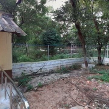 photo-6