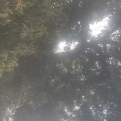 photo-6
