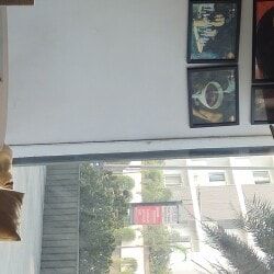 photo-8
