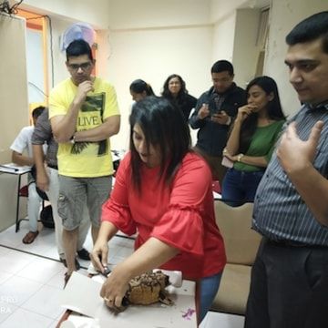 photo-7