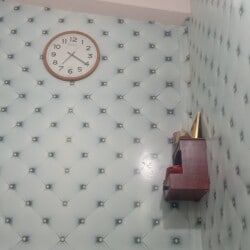 photo-12