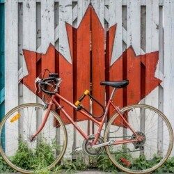 photo-6