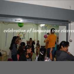 photo-6
