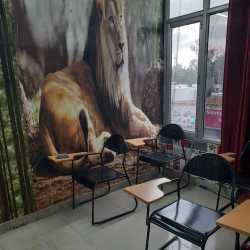 photo-5