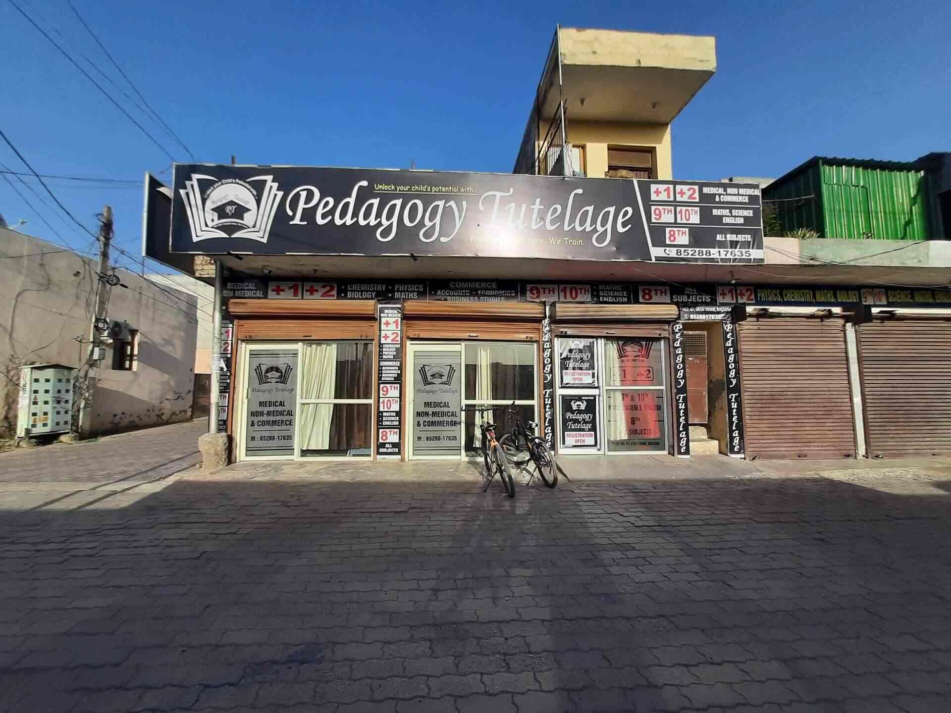 Pedagogy TUTELAGE