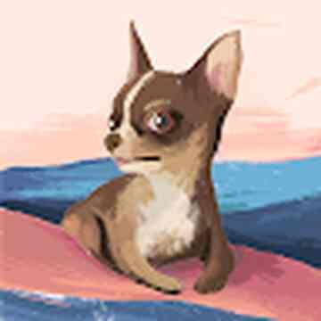 photo-13