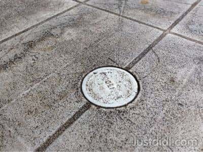 photo-2