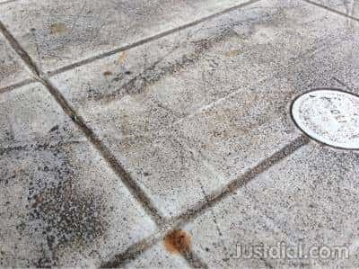 photo-0