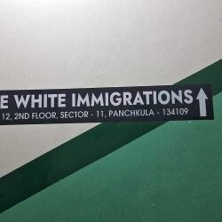 photo-7